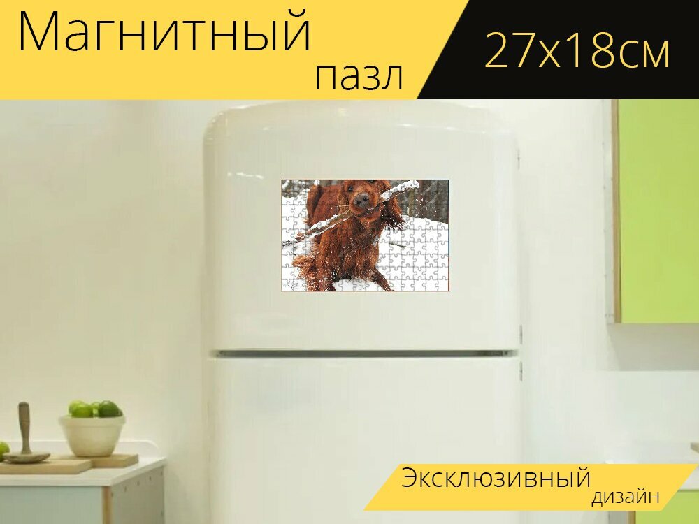 Магнитный пазл "Собака, палка, зима" на холодильник 27 x 18 см.
