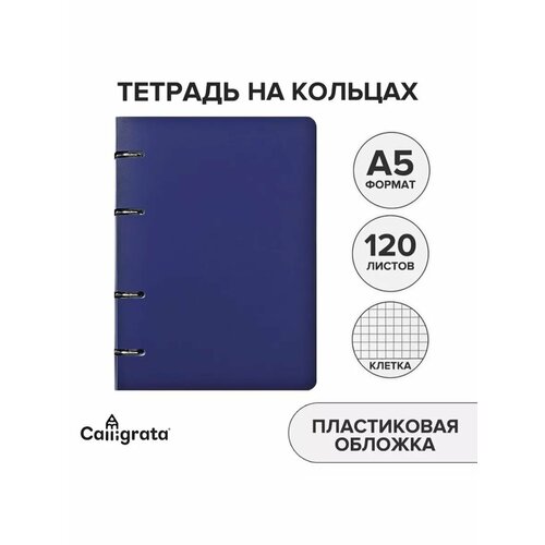 Тетрадь на кольцах 120 листов Синяя пластиковая обложка 657₽