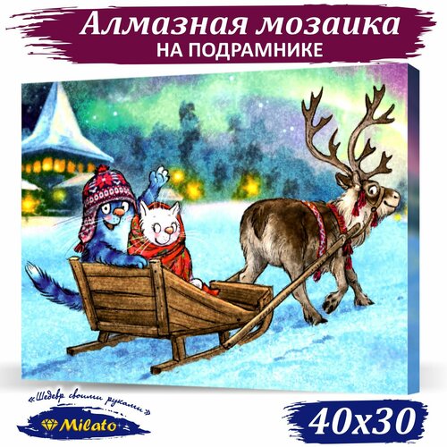 Алмазная мозаика на подрамнике 30х40 см MILATO 