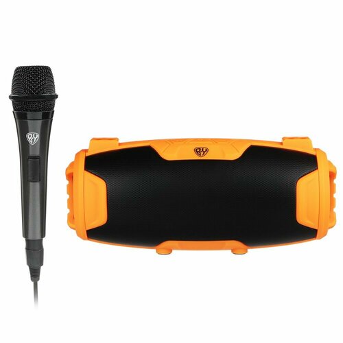 Колонка беспроводная с микрофоном 300600₽