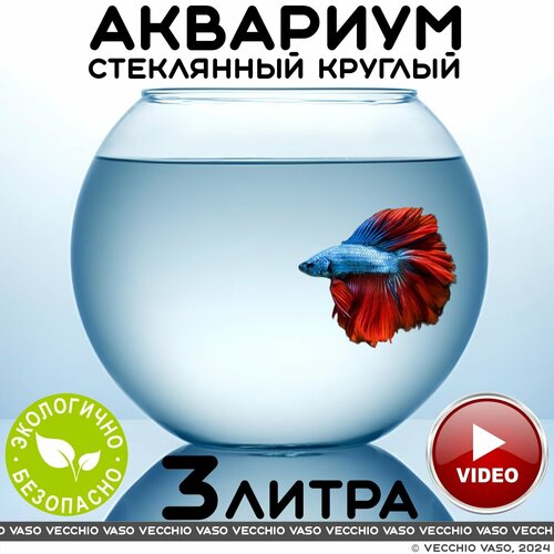 Аквариум vecchio vaso шар круглый стеклянный для рыбок 3 литра