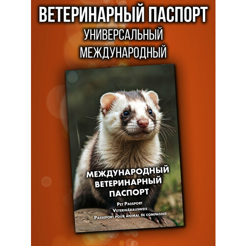 Ветеринарный паспорт для хорька международный