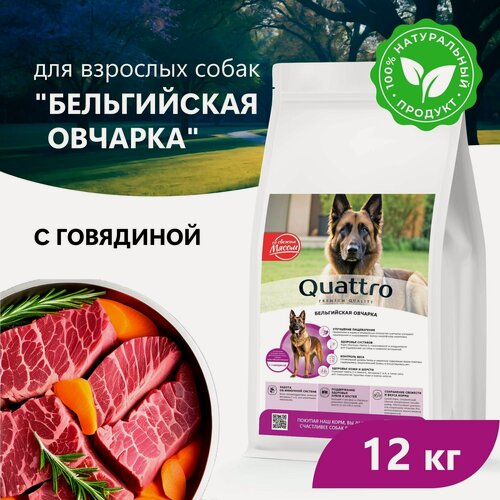 Изображение товара Quattro корм для взрослых собак породы Бельгийская овчарка, с говядиной 12 кг