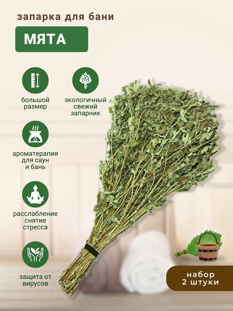 Запарка для бани Мята трава-запарник сухоцвет 2 шт.