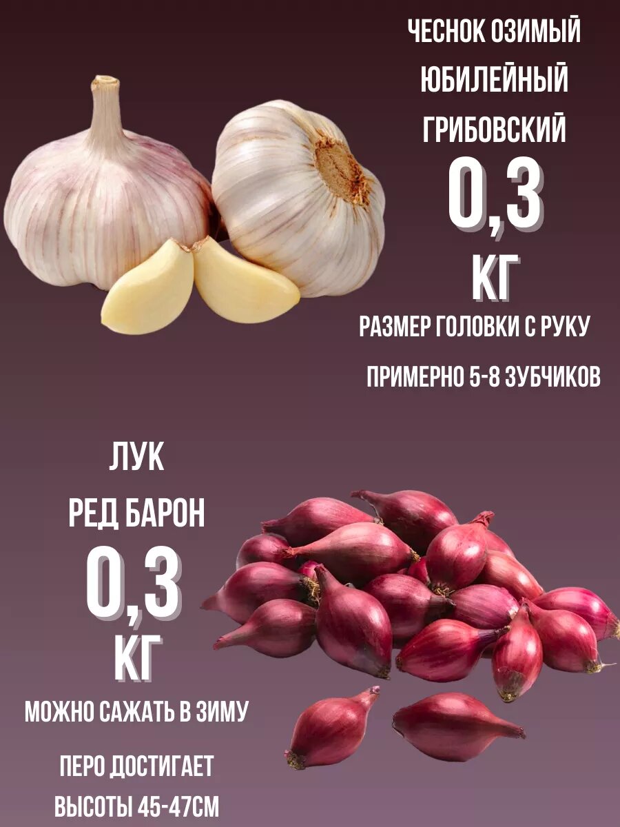 Набор Чеснок Озимый и Лук севок 0.3кг