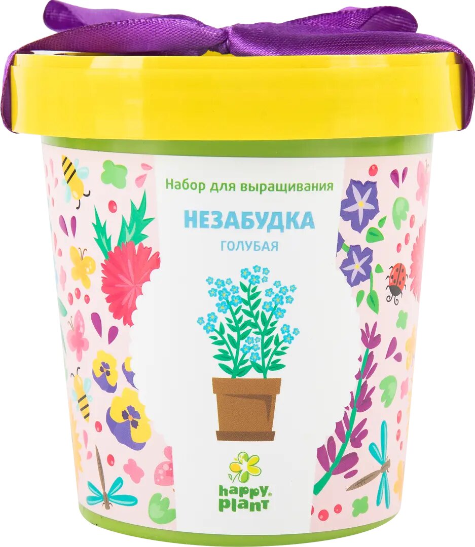 Незабудка голубая в горшке
