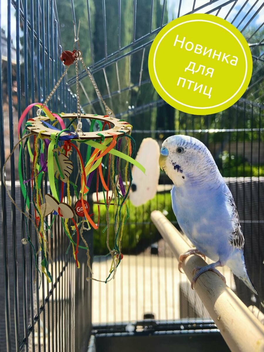 GoSi Игрушка для птиц "Кольцо большое"