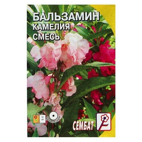 Семена цветов Бальзамин смесь Камелия 0,2 г 10 упаковок цветы бальзамин камелия смесь 0 2г р о