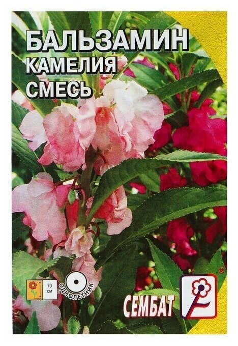 Семена цветов Бальзамин смесь "Камелия" О 02 г