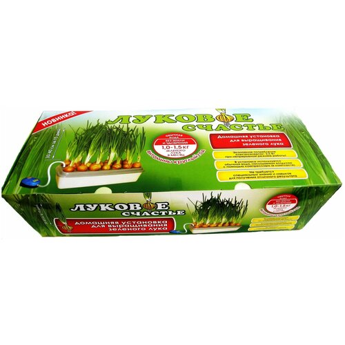 Домашняя установка «Луковое счастье»