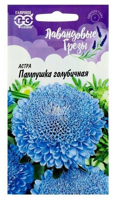 Семена цветов Астра Пампушка голубичная помпонная О 03 г