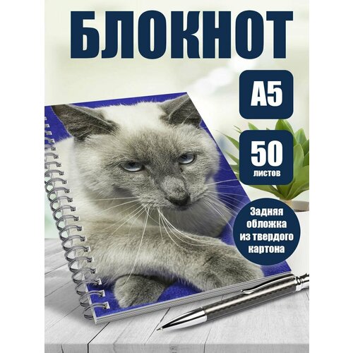 Блокнот А5 Удивительный мир. Животные