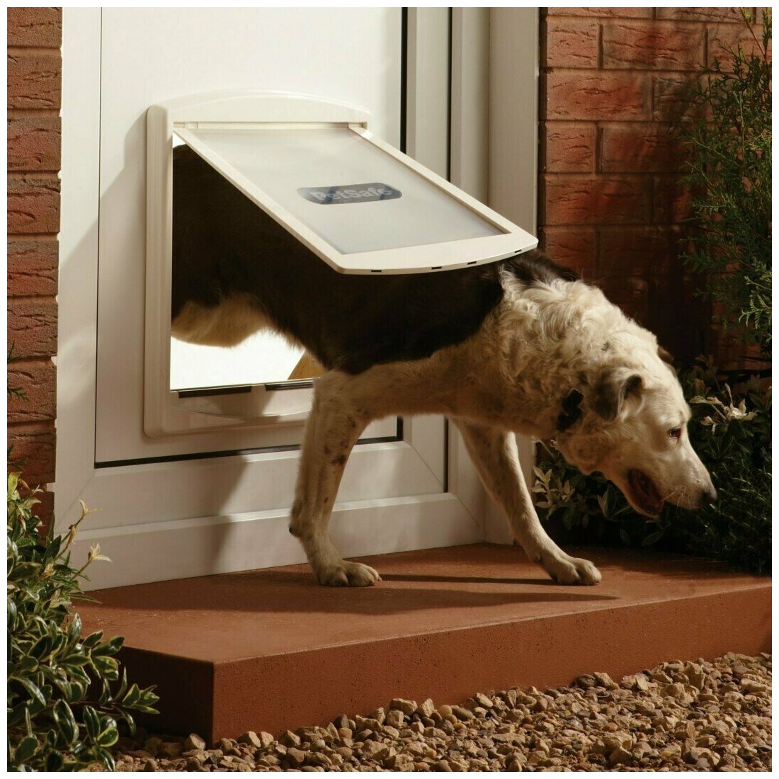 Дверца для собак и кошек PetSafe StayWell Original 2 Way белая большая 35,6 х 30,5 см (1 шт) - фотография № 4