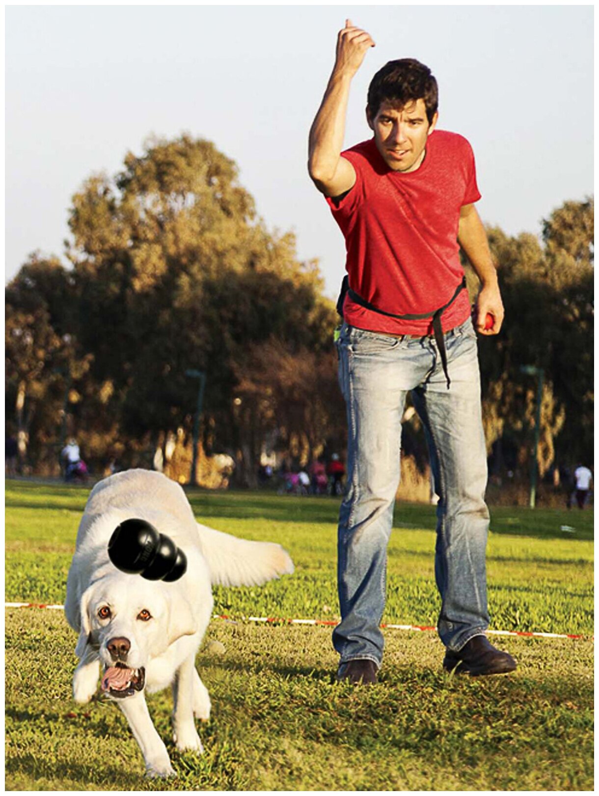 Игрушка для собак KONG M очень прочная средняя, 8х6 см - фото №11