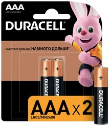 Батарейки Duracell Basic ААA, LR03-2BL (81484984)