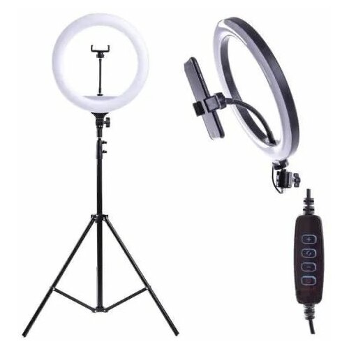 Кольцевая лампа 26 см с 2 штативами для телефона и фотоаппарата LED лампа белого света для селфи, кольцо для фото и видео, осветитель