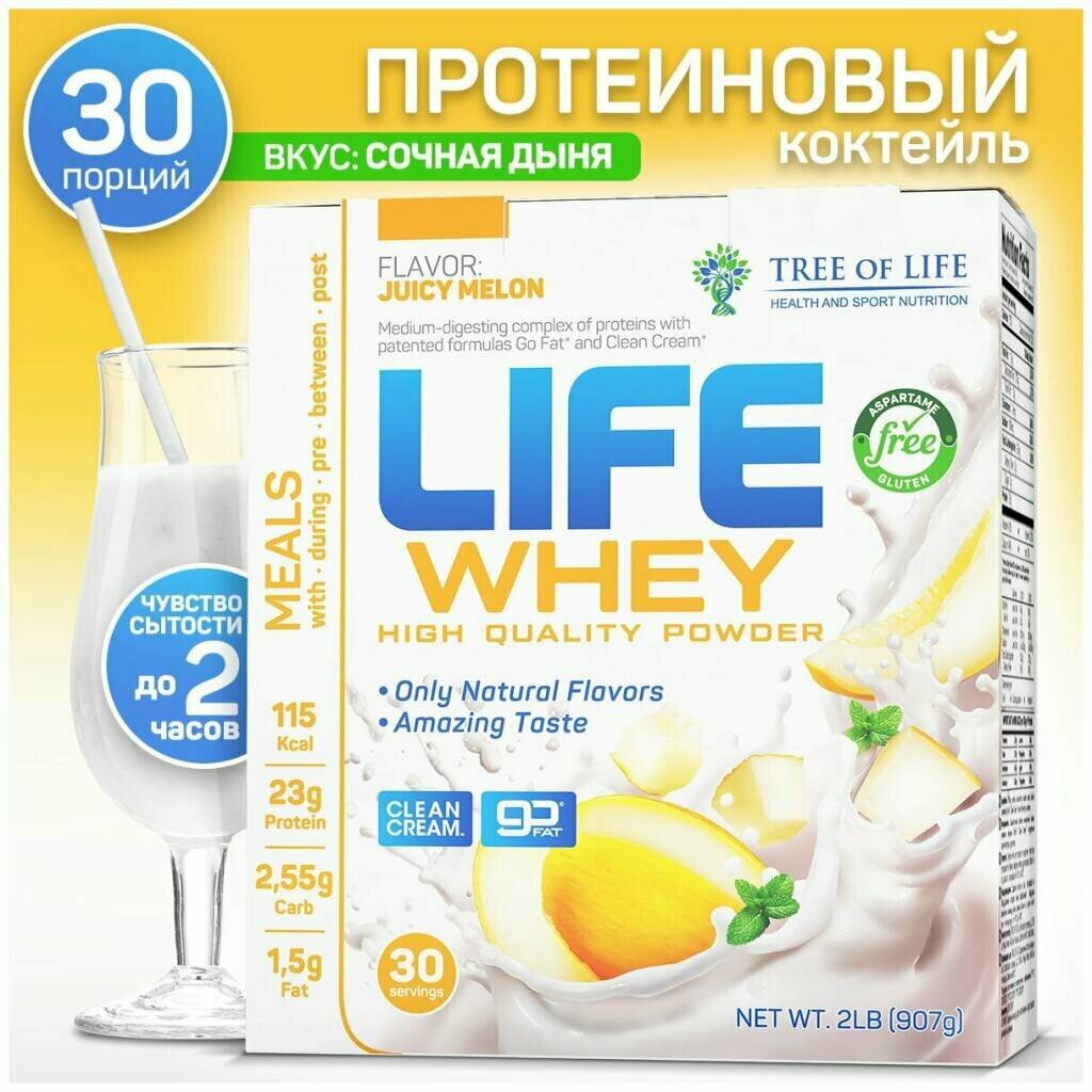 LIFE WHEY 907 gr, 30 порции(й), дыня