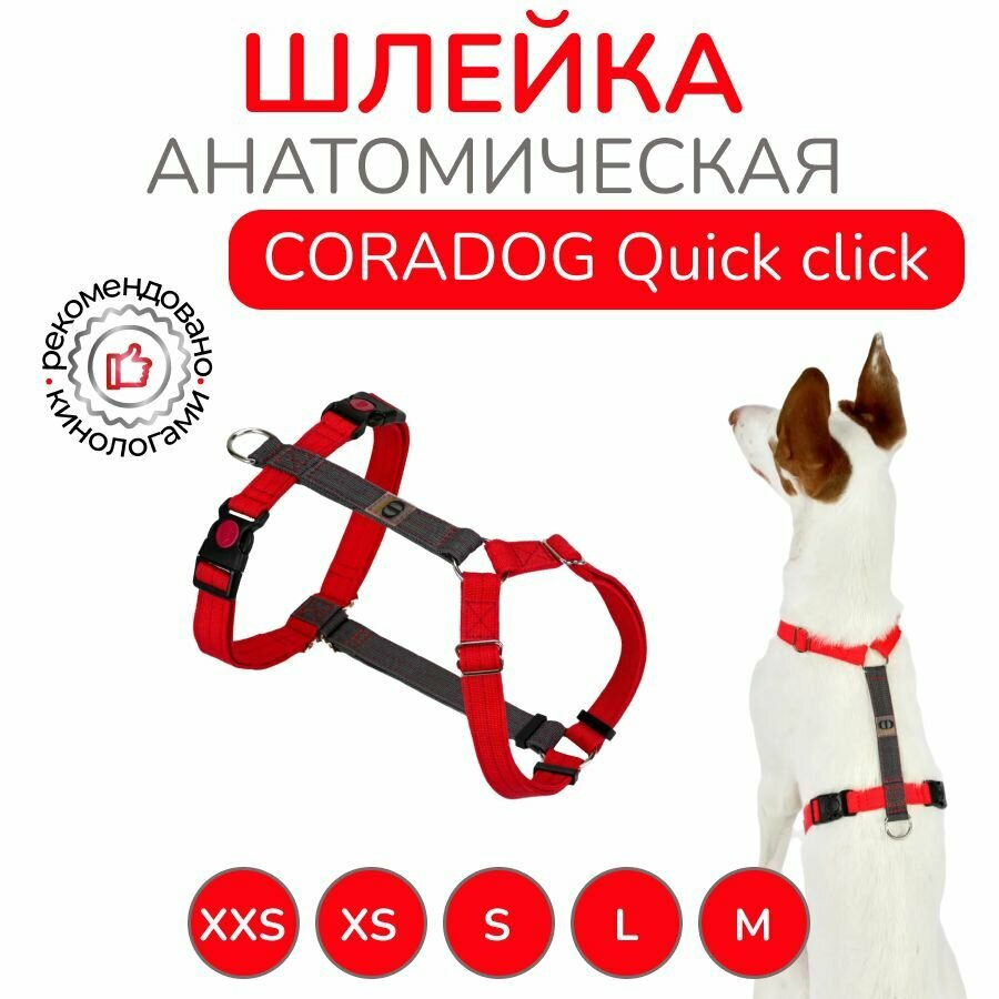 Шлейка прогулочная анатомическая для средних пород собак, CORADOG Quick click, размер S, цвет красный, серый