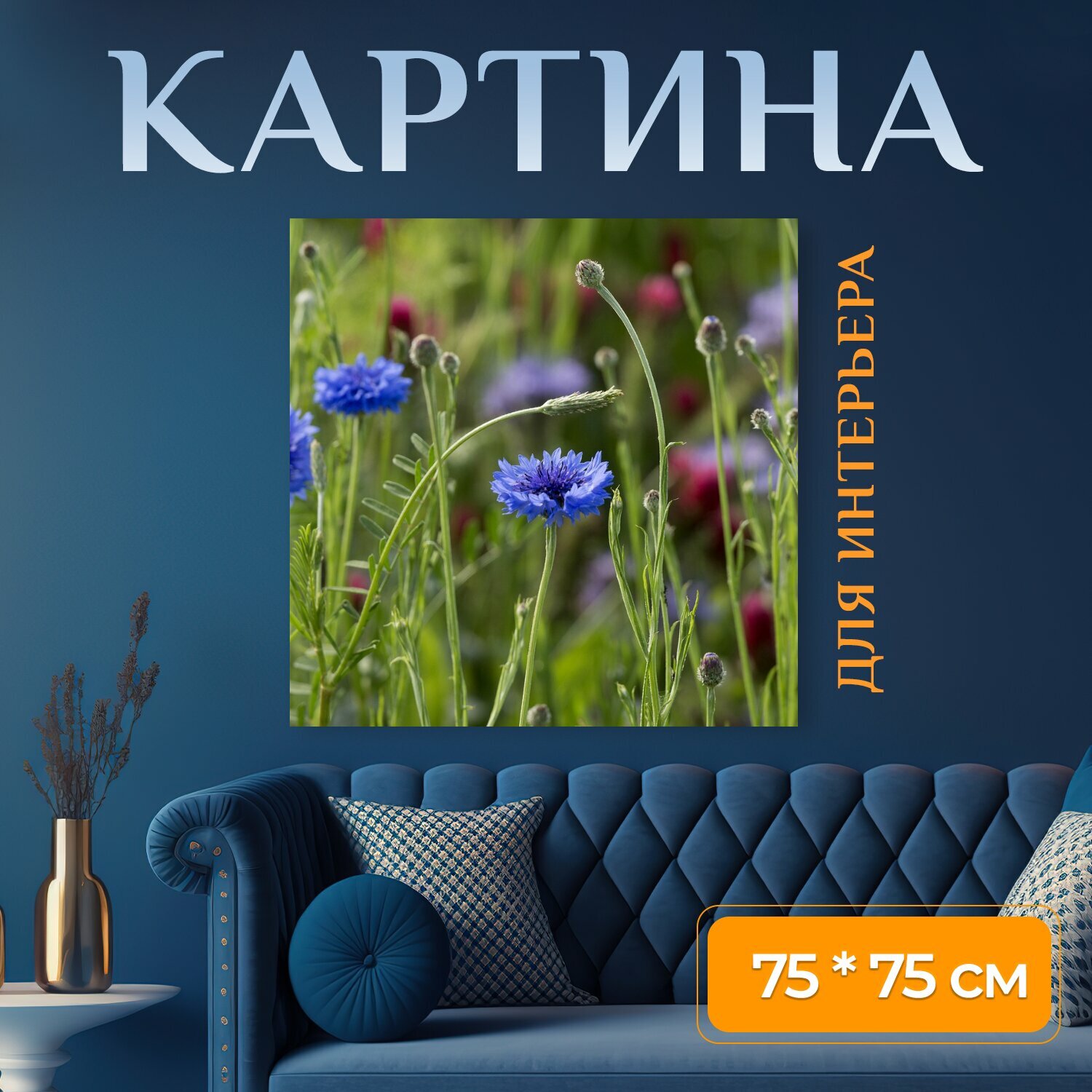 Картина на холсте "Васильковый, полевой цветок, луг" на подрамнике 75х75 см. для интерьера