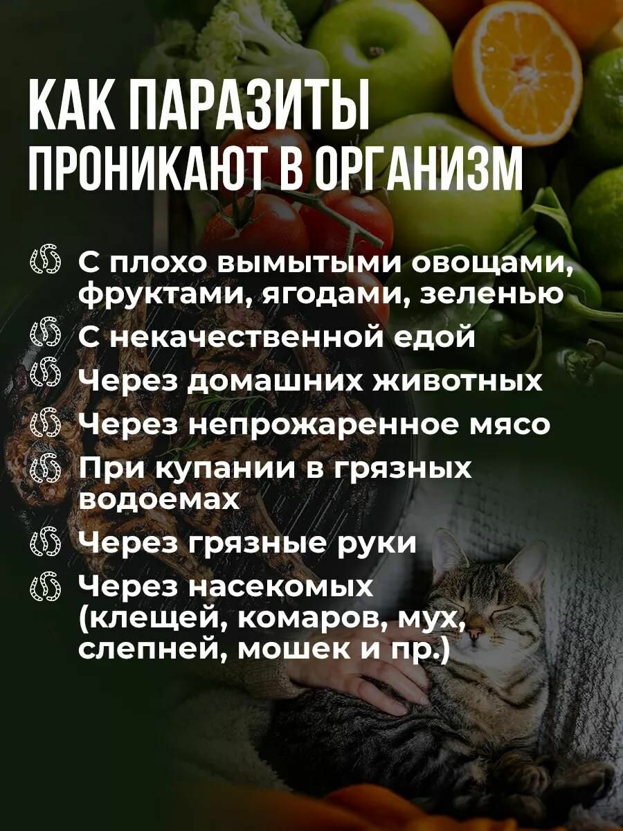 Антипаразитарный комплекс от глистов, очищение организма от паразитов, детокс, Алтея, Чудо гриб, чудогриб, 20 капсул — фото 1