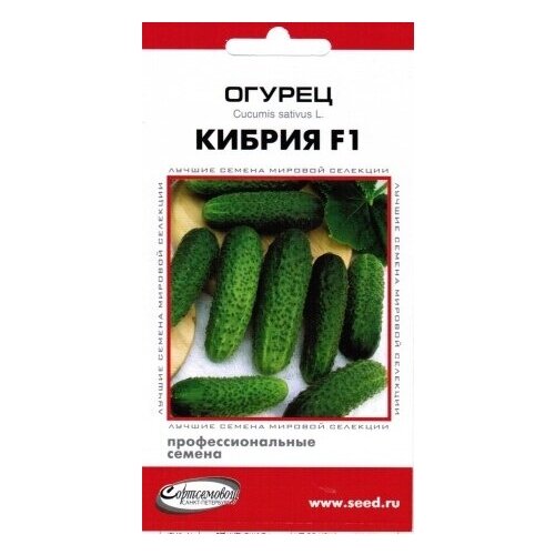 Огурец Кибрия F1, 6 семян