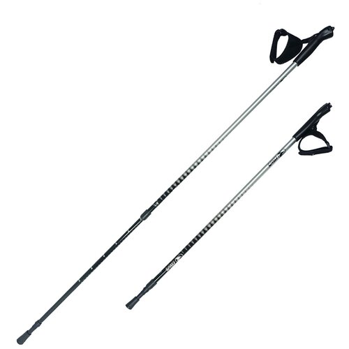 Палки для скандинавской ходьбы RGX NWS-101 silver палки для скандинавской ходьбы rgx nws 119