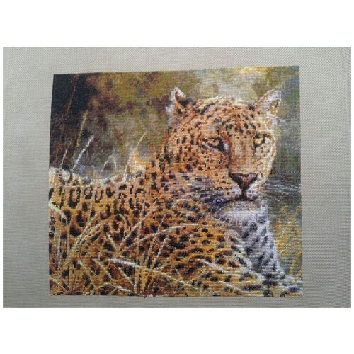 фото Набор для вышивания нитками kustomkrafts "леопард", арт. 99857, 35,6х30,8 см kustom krafts