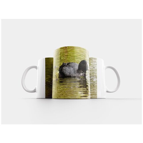 фото Кружка "moorhen, водоплавающая птица, птица" 320 мл lotsprints