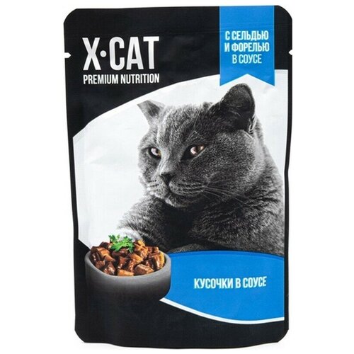 Паучи Gina X-CAT Сельдь и Форель в соусе для кошек (85 г, Сельдь и форель)