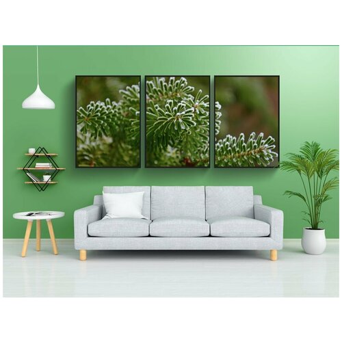 фото Набор модулных постеров для интерьера "ель, еловая ветка, зеленая пихтовая" 60x90 см. в тубусе, без рамки lotsprints