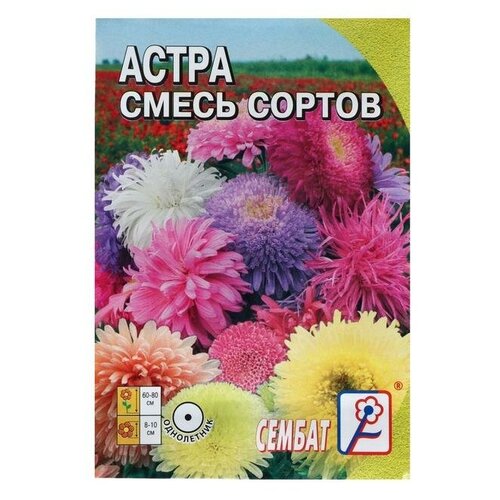 Семена цветов Астра, смесь сортов, 0,2 г (5 шт)