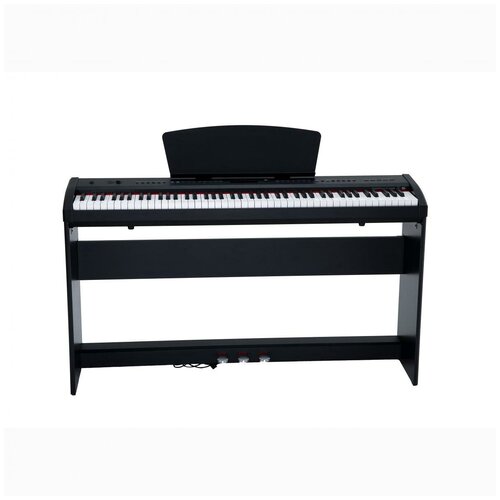 Цифровые пианино Sai Piano P-65BK