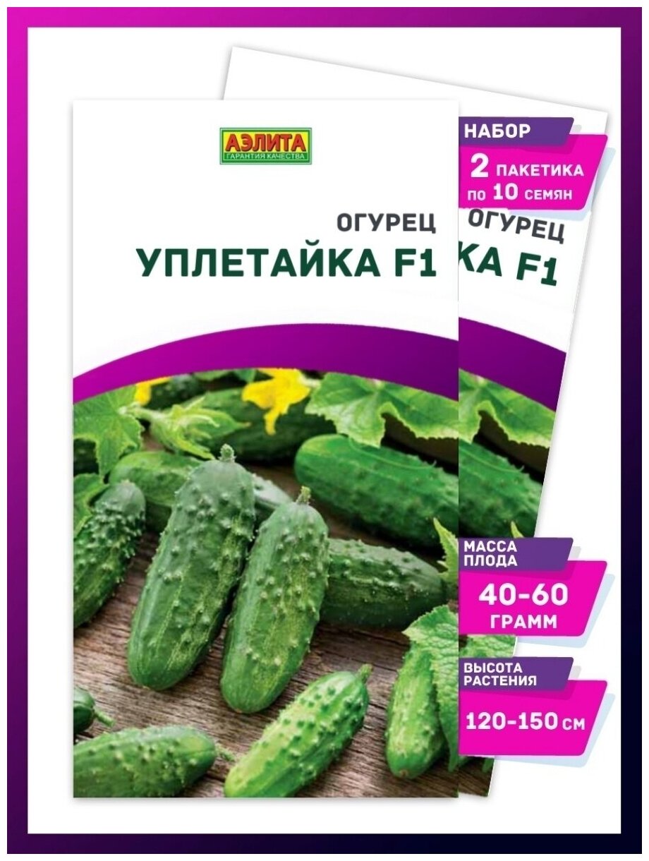 Семена Огурцов Уплетайка - 2 пачки / Для выращивания в горшке на подоконнике или балконе / Урожай дома