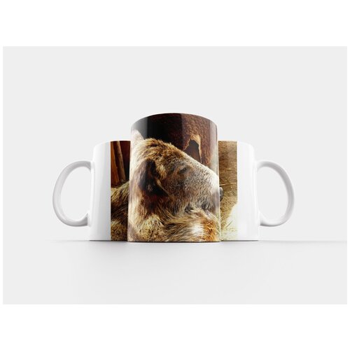 фото Кружка "дикий кабан, мех кабана, шерсть" 320 мл lotsprints
