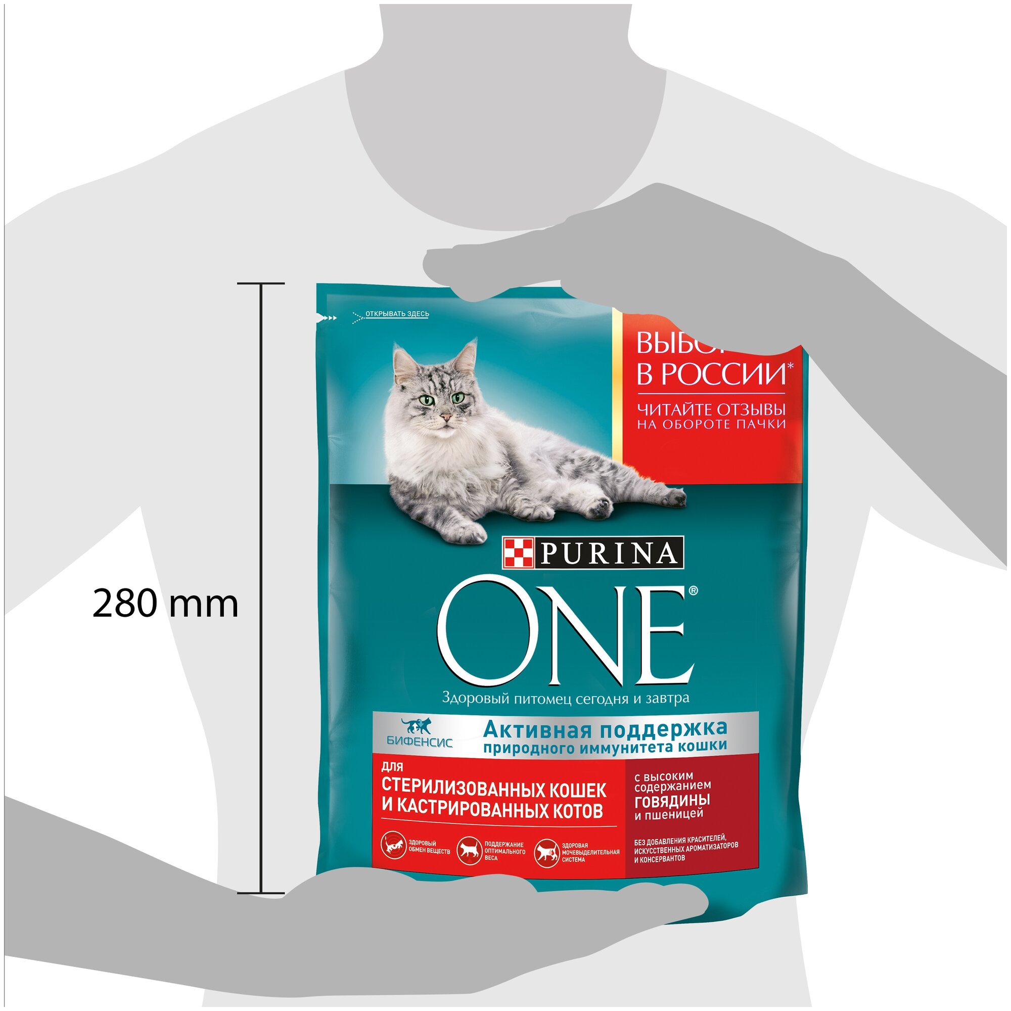 Сухой корм Purina ONE для стерилизованных кошек и котов с говядиной и пшеницей пакет 750г, для взрослых кошек - фотография № 7