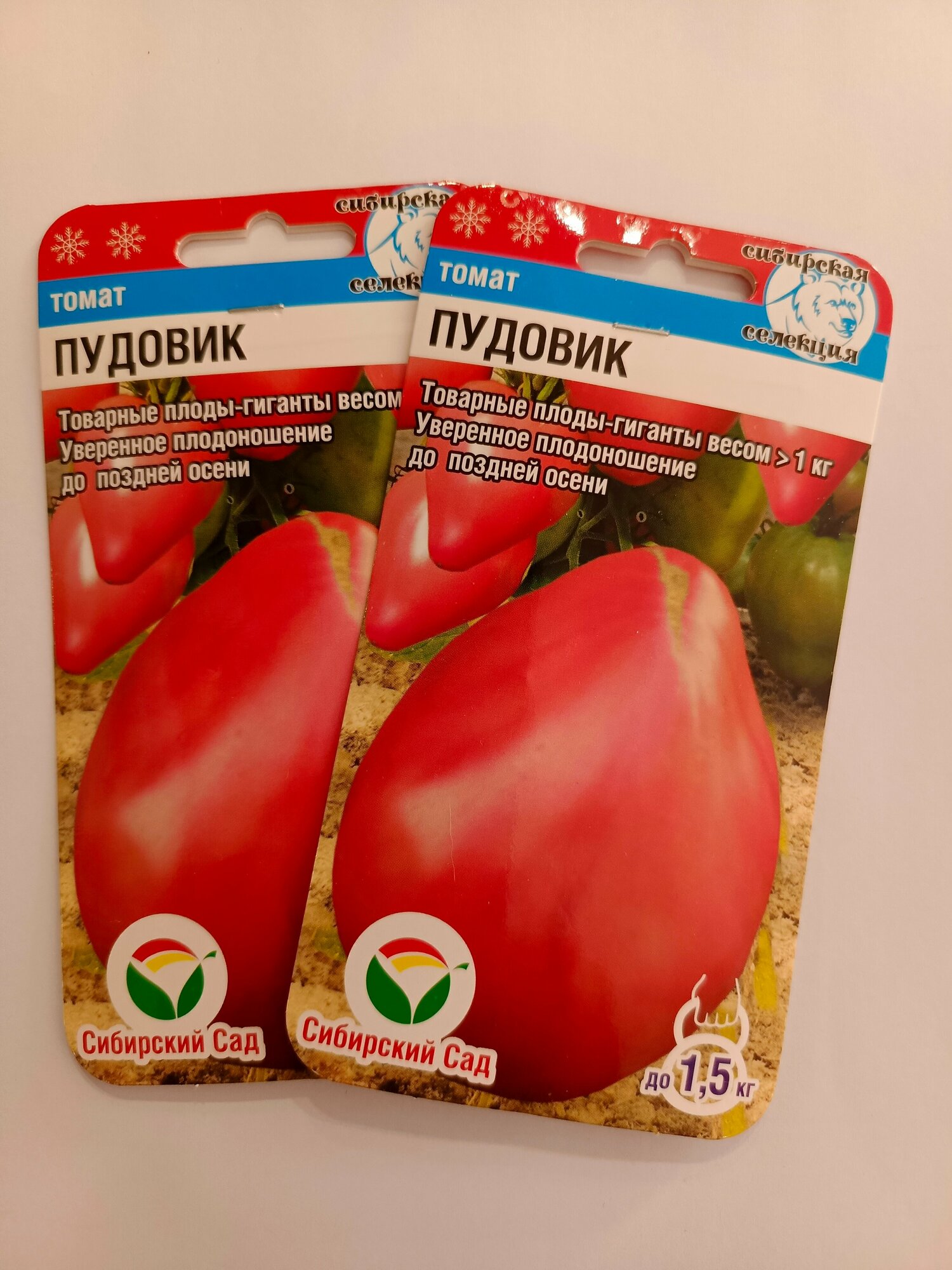 Томат Пудовик