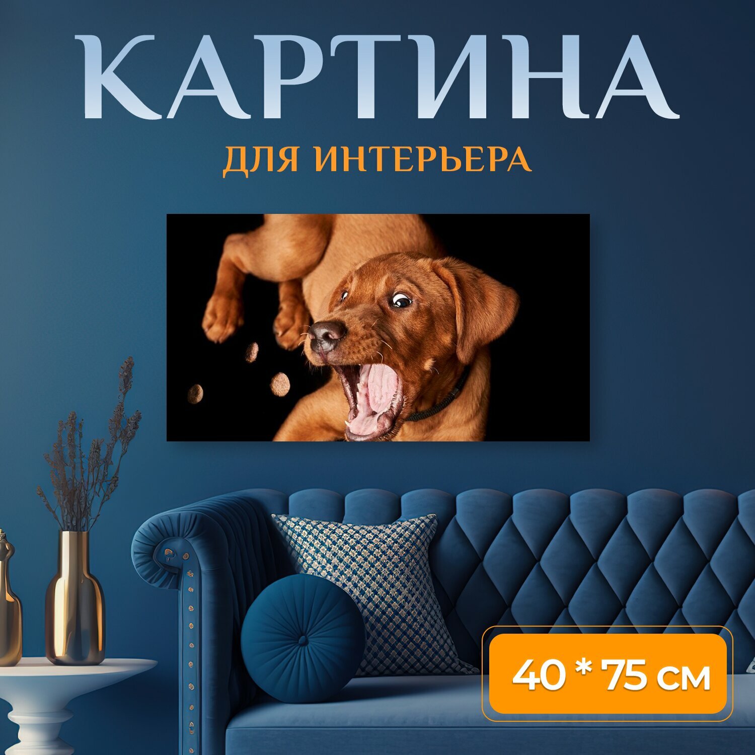 Картина на холсте "Собака, щенок, поймать" на подрамнике 75х40 см. для интерьера