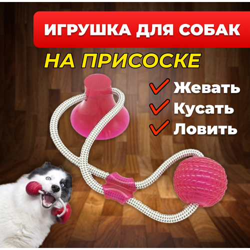 Многофункциональный жевательный мяч для собак, мягкая эластичная резинка для чистки зубов на присоске, красная