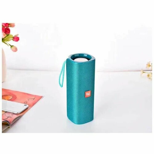 Колонка беспроводная портативная 10Вт 2 динамика TG 531 FM радио USB AUX micro SD 1200мАч бирюзовая с басами 125000₽