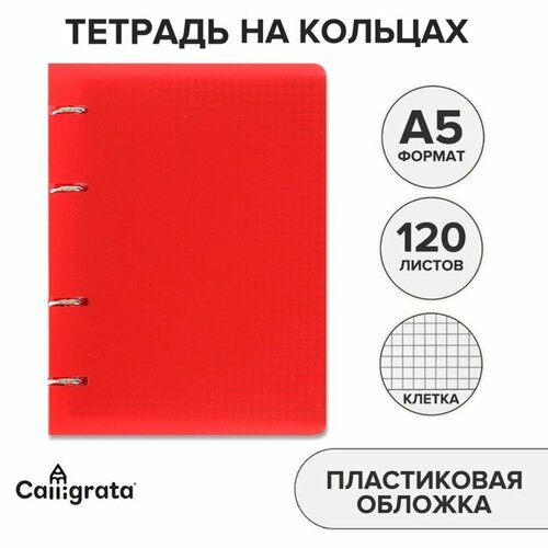 пиноккио красный 31 см со сменным носом Тетрадь на кольцах, в клетку, 120 листов Красная, пластиковая обложка, блок офсет
