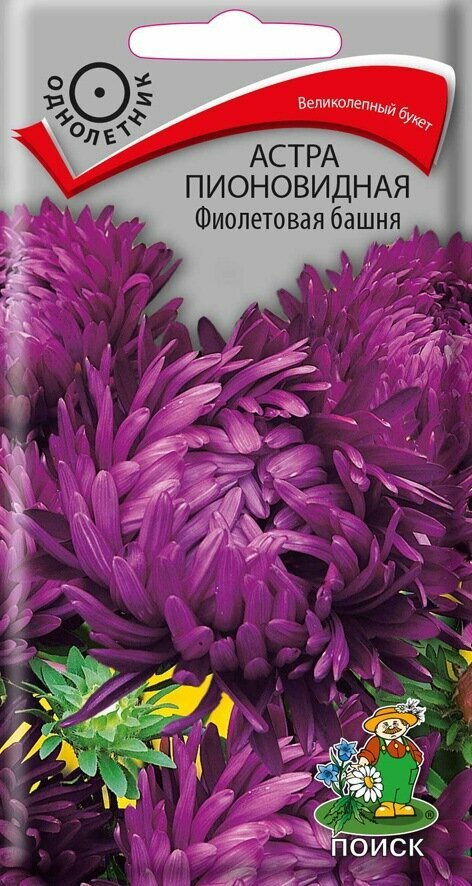 Семена цветов Поиск астра пионовидная Фиолетовая башня