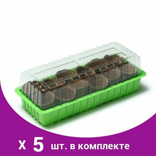 Мини-парник: 40 x 16 x 13 см, торфяной горшок 6 x 6 см (12 шт.) (5 набор)