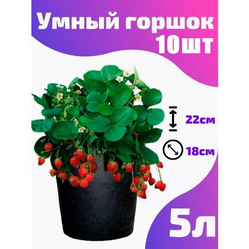 Горшок текстильный для рассады, растений, цветов Smart Pot - 5 л 10 шт.