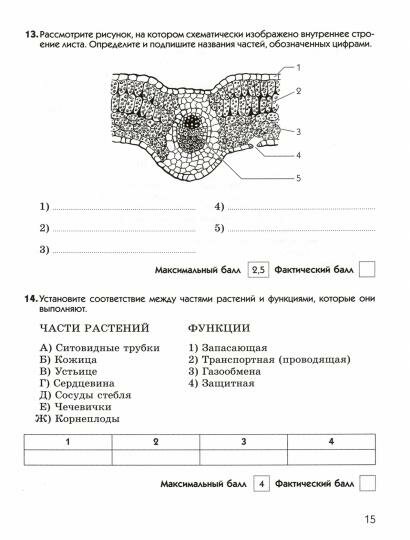 Биология. 6 класс. Диагностические работы к учебнику В. В. Пасечника. Вертикаль. - фото №4