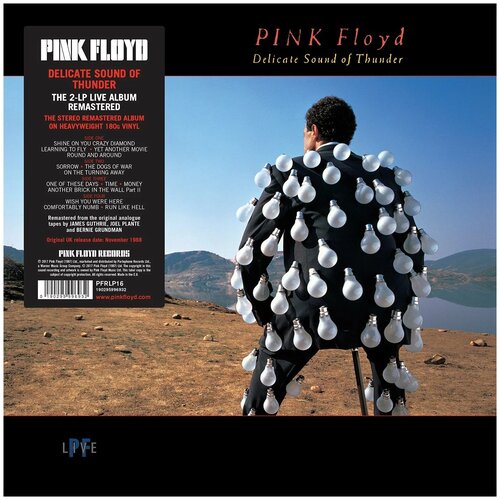 Warner Bros. Pink Floyd. Delicate Sound Of Thunder (2 виниловые пластинки) pink floyd pink floyd delicate sound of thunder 2 lp