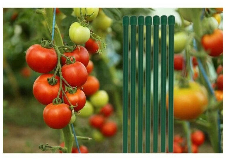Колышки садовые для растений металлические (набор 20 шт. по 1,5 м / 150 см) для подвязки, опоры, поддержки томатов, огурцов, цветов и других дачных растений