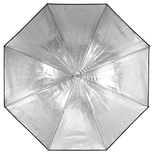 Profoto Зонт Profoto Umbrella Shallow Silver M (105cm/41