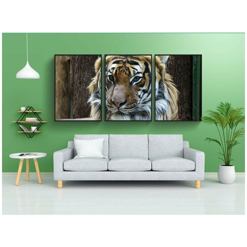 фото Набор модулных постеров для интерьера "животное, тигр, портрет" 60x90 см. в тубусе, без рамки lotsprints