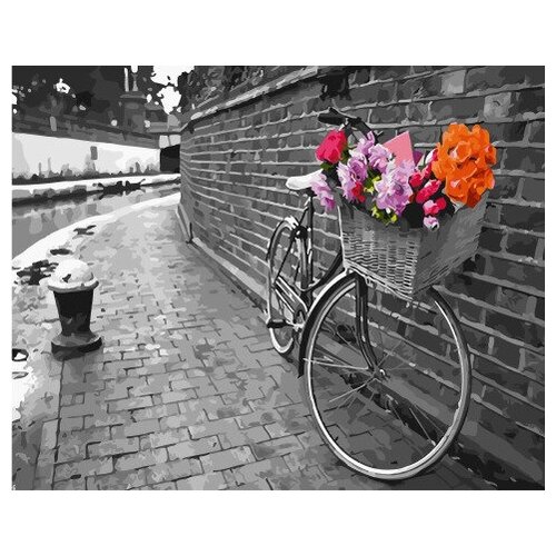 фото Велосипед с корзиной цветов paintboy