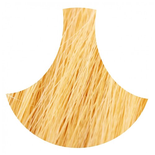 Remy Искусственные волосы на клипсах 22Т, 70-75 см remy искусственные волосы на клипсах 27в 75 см